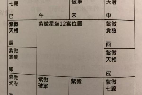 紫微斗数密宗 紫微斗数密宗星法？