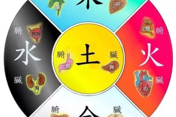 哪个动物是算命先生,哪个生肖会算命