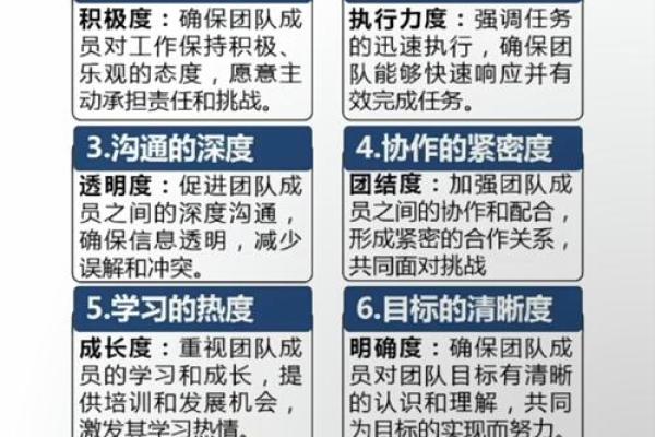 团队八字