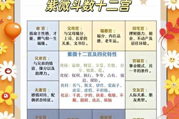 紫薇斗数对宫怎么看