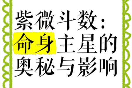 紫薇斗数强星