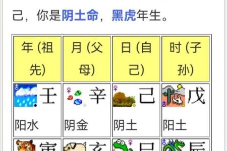 生辰八字表达什么意思
