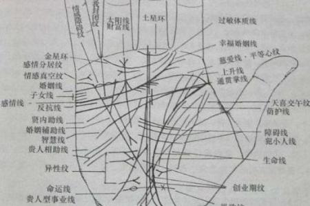 AI看面相 免费看手相，淘宝、朋友圈和微博上的算命先生到底有多野？
