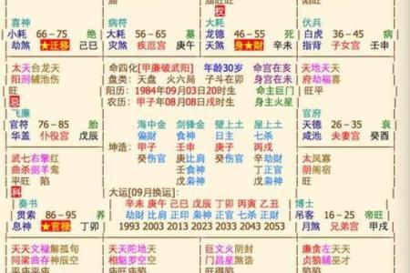 紫薇斗数命盘在线排盘算命