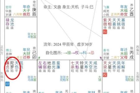 紫微斗数诸星落诸宫之：天机星夫妻宫详解