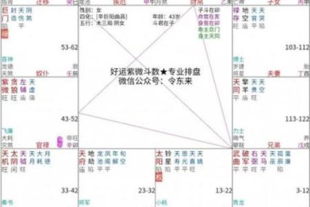 紫薇斗数看流年事业运势