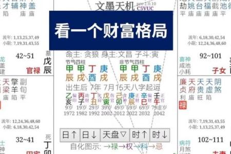 紫薇斗数看财富自由