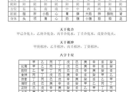 八字命理入门基础知识「方便初学」