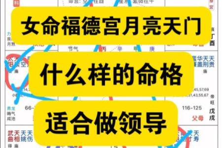 紫薇斗数服务