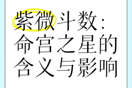 紫薇斗数中同度什么意思