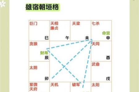 紫薇斗数格局很好
