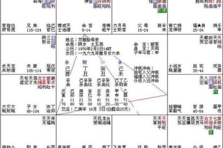 紫微斗数诸星落诸宫之：天府星官禄宫详解
