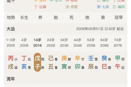 八字排盘软件排行