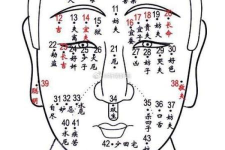 男人脸部有痣，算命你运势好坏