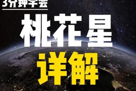 紫薇斗数桃花位