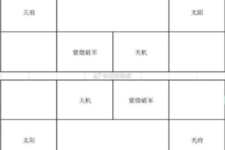 蓝天辰紫薇斗数案例