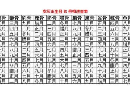 陕西延安摸骨算命