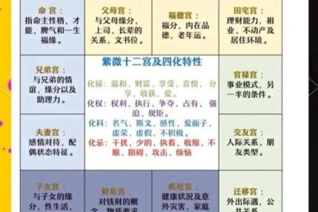 张盛舒怎么看待紫薇斗数
