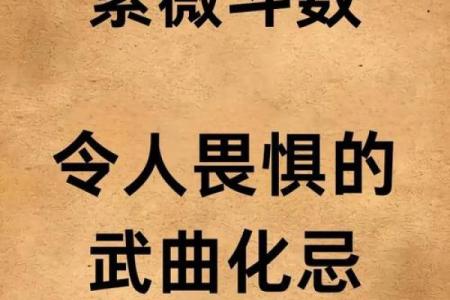 紫薇斗数易学难精