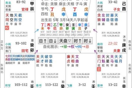 紫薇斗数全书是哪个派别