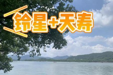 紫薇斗数交友铃星