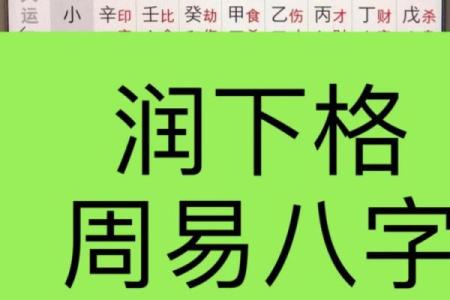 八字润下格