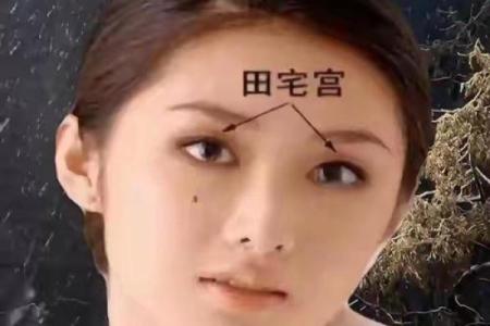 面相算命图解十二宫之：田宅宫