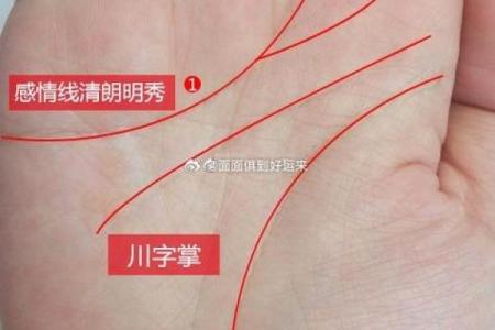 风水右手川字掌的女人命运怎么样？