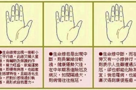 男人手相算命图解揭密男人命运
