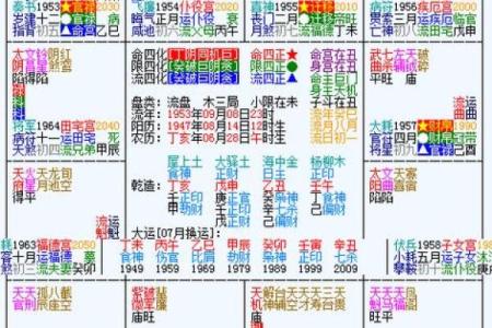 紫薇斗数全集九星