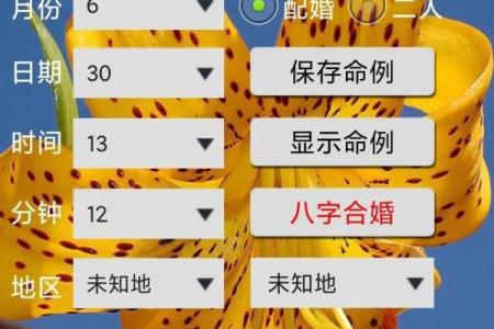 最好的合婚八字