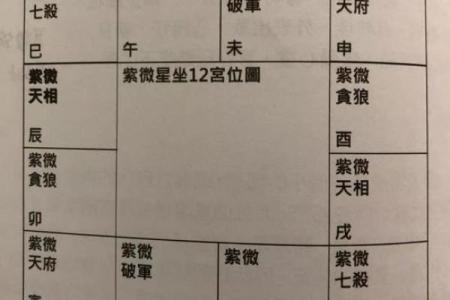 紫微斗数密宗 紫微斗数密宗星法？