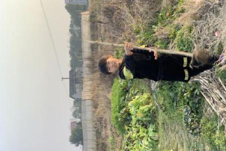 李家湾风水