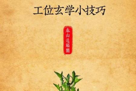 哪些风水布局是利于职场升职