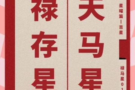 紫薇斗数天马一生机会