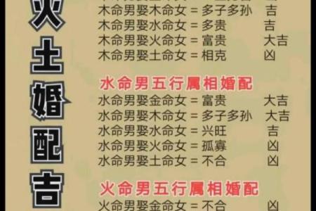 风水火命人命运火命人性格