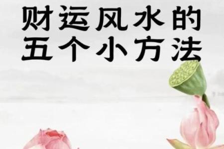 善用这几种风水，催旺家运财运