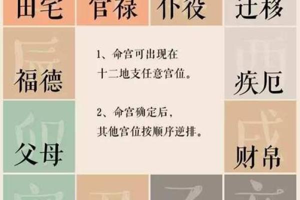 紫薇斗数各宫位