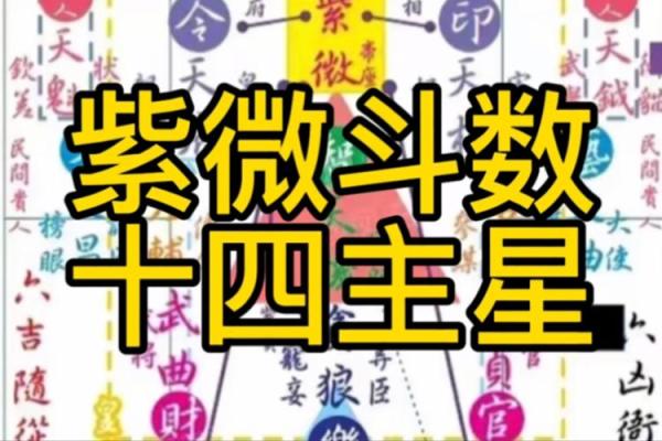 紫微斗数弱智 紫微斗数看智力？