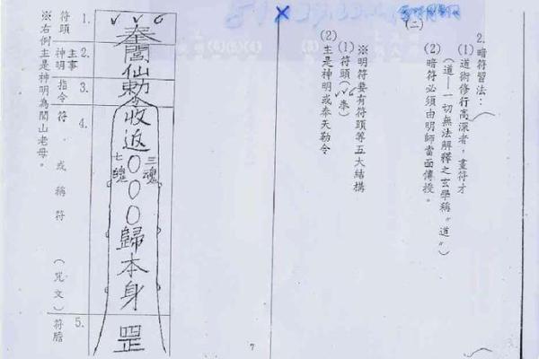 陈巃羽紫微斗数09年版 陈龙羽2009紫微斗数？