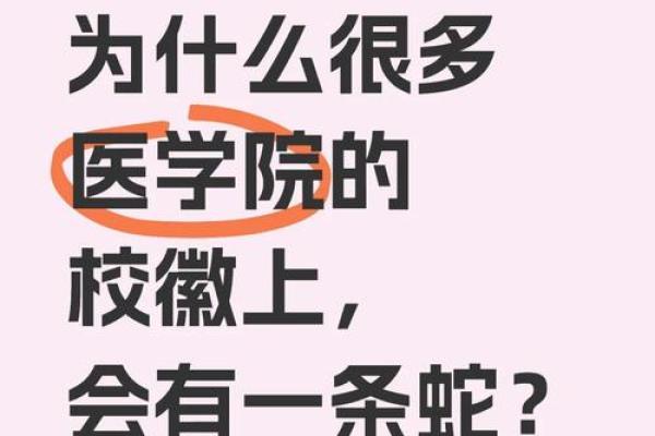 测试蛇院和鹰院,蛇院狮院鹰院獾院测试