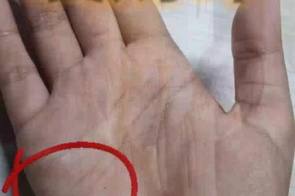 有横财偏财的手相女命八字