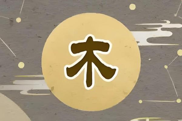 男八字木