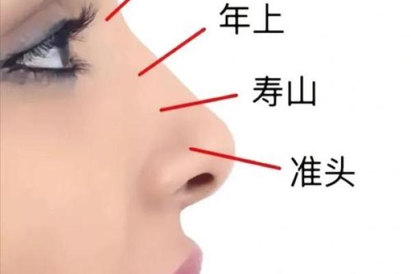 风水面相女人鼻头大到底好不好