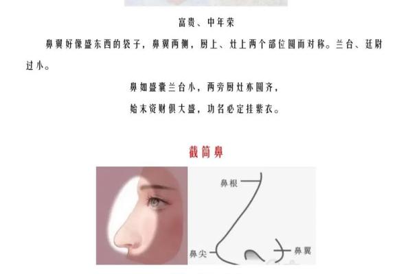 风水面相女人鼻头大到底好不好
