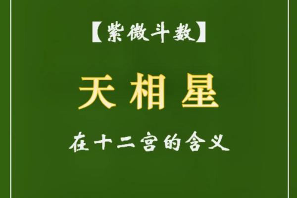 孤儿的紫薇斗数