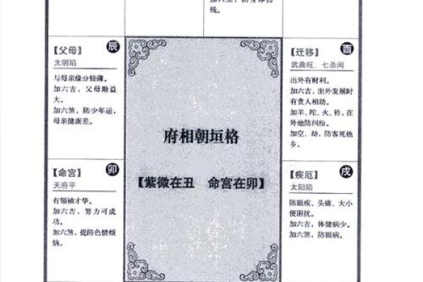 紫薇斗数和西方占星术