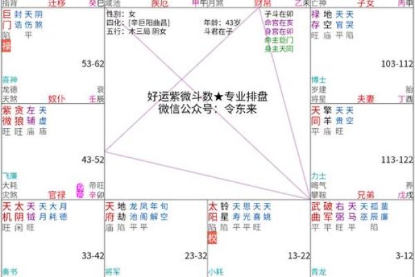 紫薇斗数如看今年流年