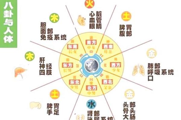 健康风水攻略