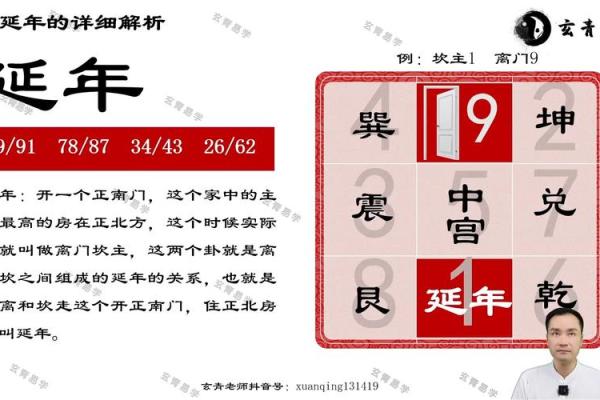 九星命理算命视频